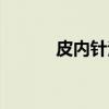 皮内针法（关于皮内针法介绍）