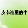 皮卡迪里的牛仔（关于皮卡迪里的牛仔介绍）