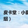 皮卡堂：小爱魔装（关于皮卡堂：小爱魔装介绍）