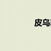 皮乌斯（关于皮乌斯介绍）
