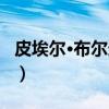 皮埃尔·布尔迪厄（关于皮埃尔·布尔迪厄介绍）