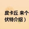 皮卡丘 来个十万伏特（关于皮卡丘 来个十万伏特介绍）