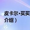 皮卡尔·买买提艾力（关于皮卡尔·买买提艾力介绍）