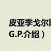 皮亚季戈尔斯基 G.P.（关于皮亚季戈尔斯基 G.P.介绍）