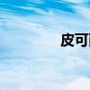 皮可西（关于皮可西介绍）