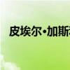 皮埃尔·加斯利（关于皮埃尔·加斯利介绍）