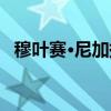 穆叶赛·尼加提（关于穆叶赛·尼加提介绍）