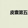 皮囊第五季（关于皮囊第五季介绍）