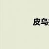 皮乌拉（关于皮乌拉介绍）