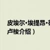 皮埃尔·埃提昂·蒂奥多·卢梭（关于皮埃尔·埃提昂·蒂奥多·卢梭介绍）