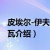 皮埃尔-伊夫·恩加瓦（关于皮埃尔-伊夫·恩加瓦介绍）