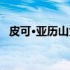 皮可·亚历山大（关于皮可·亚历山大介绍）