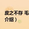 皮之不存 毛将焉附(关于皮之不存 毛将焉附介绍) 皮之不存 毛将焉附(关于皮之不存 毛将焉附介绍)