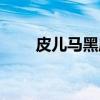 皮儿马黑麻（关于皮儿马黑麻介绍）
