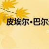 皮埃尔·巴尔迪（关于皮埃尔·巴尔迪介绍）