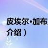皮埃尔·加布里埃尔（关于皮埃尔·加布里埃尔介绍）