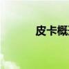 皮卡概形（关于皮卡概形介绍）
