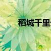 稻城千里光(关于稻城千里光介绍) 稻城千里光(关于稻城千里光介绍)