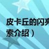 皮卡丘的闪亮大搜索(关于皮卡丘的闪亮大搜索介绍) 皮卡丘的闪亮大搜索(关于皮卡丘的闪亮大搜索介绍)