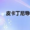 皮卡丁尼导轨（关于皮卡丁尼导轨介绍）