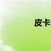皮卡车（关于皮卡车介绍）