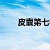 皮囊第七季（关于皮囊第七季介绍）