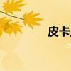 皮卡丘（关于皮卡丘介绍）