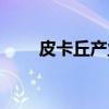 皮卡丘产业(关于皮卡丘产业介绍) 皮卡丘产业(关于皮卡丘产业介绍)