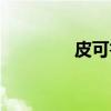 皮可鲁（关于皮可鲁介绍）