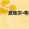 皮埃尔·布格（关于皮埃尔·布格介绍）