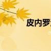 皮内罗洛（关于皮内罗洛介绍）
