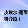 皮埃尔-雨果·赫伯特（关于皮埃尔-雨果·赫伯特介绍）