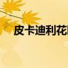皮卡迪利花园（关于皮卡迪利花园介绍）