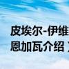 皮埃尔-伊维斯·恩加瓦（关于皮埃尔-伊维斯·恩加瓦介绍）