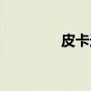 皮卡迪(关于皮卡迪介绍) 皮卡迪(关于皮卡迪介绍)
