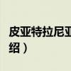 皮亚特拉尼亚姆茨（关于皮亚特拉尼亚姆茨介绍）