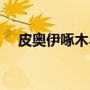 皮奥伊啄木鸟（关于皮奥伊啄木鸟介绍）