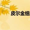 皮尔金组曲（关于皮尔金组曲介绍）