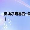 皮埃尔路易吉·卡西拉吉（关于皮埃尔路易吉·卡西拉吉介绍）