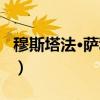 穆斯塔法·萨利福（关于穆斯塔法·萨利福介绍）