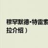 穆罕默德·特雷索·阿卜杜拉（关于穆罕默德·特雷索·阿卜杜拉介绍）