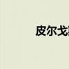 皮尔戈斯（关于皮尔戈斯介绍）