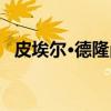 皮埃尔·德隆尚（关于皮埃尔·德隆尚介绍）