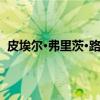 皮埃尔·弗里茨·路德斯（关于皮埃尔·弗里茨·路德斯介绍）