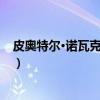 皮奥特尔·诺瓦克沃斯基(关于皮奥特尔·诺瓦克沃斯基介绍) 皮奥特尔·诺瓦克沃斯基(关于皮奥特尔·诺瓦克沃斯基介绍)