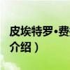 皮埃特罗·费拉里斯（关于皮埃特罗·费拉里斯介绍）