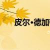 皮尔·德加顿（关于皮尔·德加顿介绍）