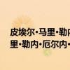 皮埃尔·马里·勒内·厄尔内·瓦尔德克-卢梭（关于皮埃尔·马里·勒内·厄尔内·瓦尔德克-卢梭介绍）
