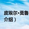 皮埃尔·莫鲁瓦球场（关于皮埃尔·莫鲁瓦球场介绍）