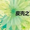 皮壳之下（关于皮壳之下介绍）